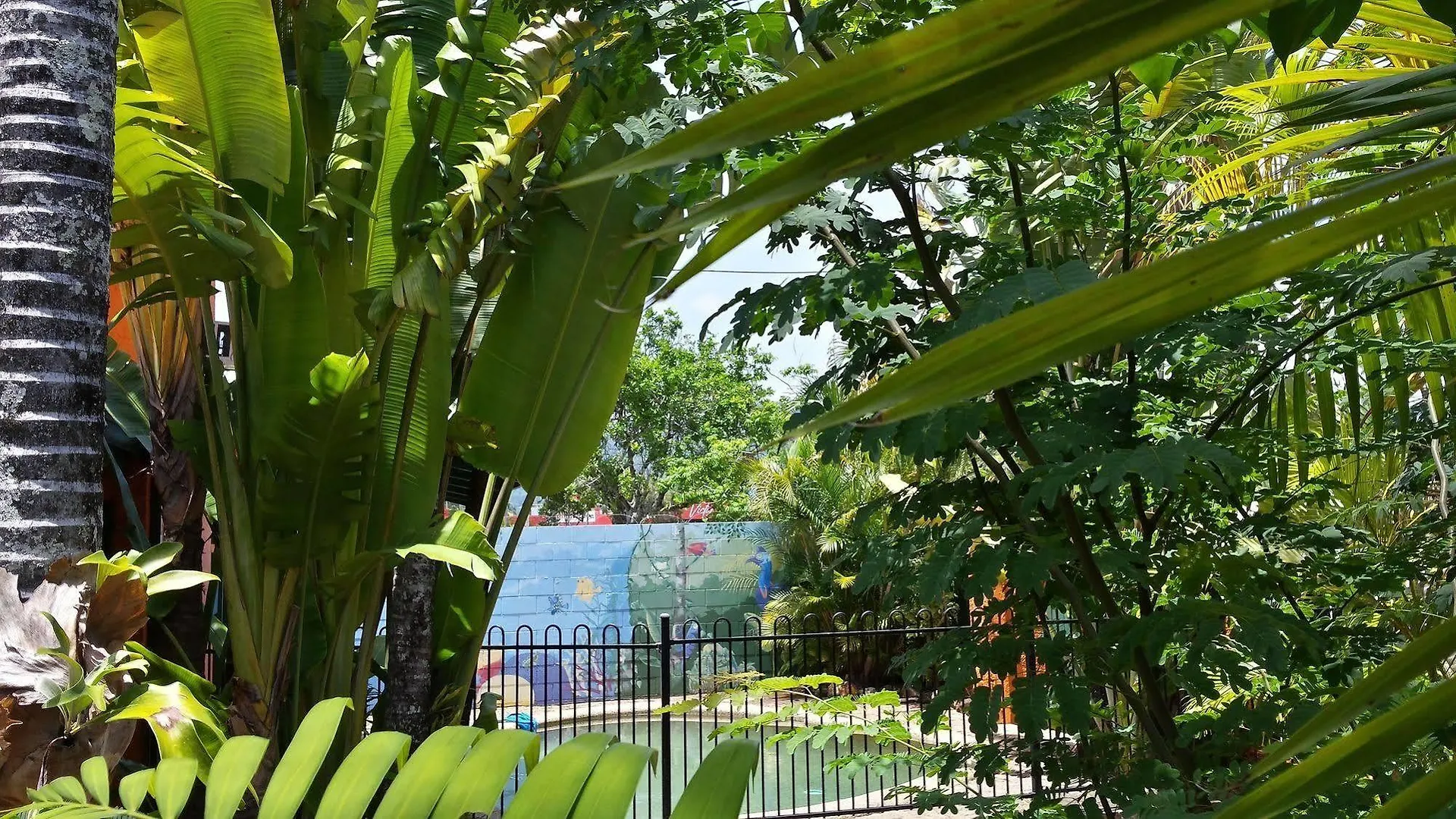 Jjs Backpackers Hostel Cairns 0*,  Australia