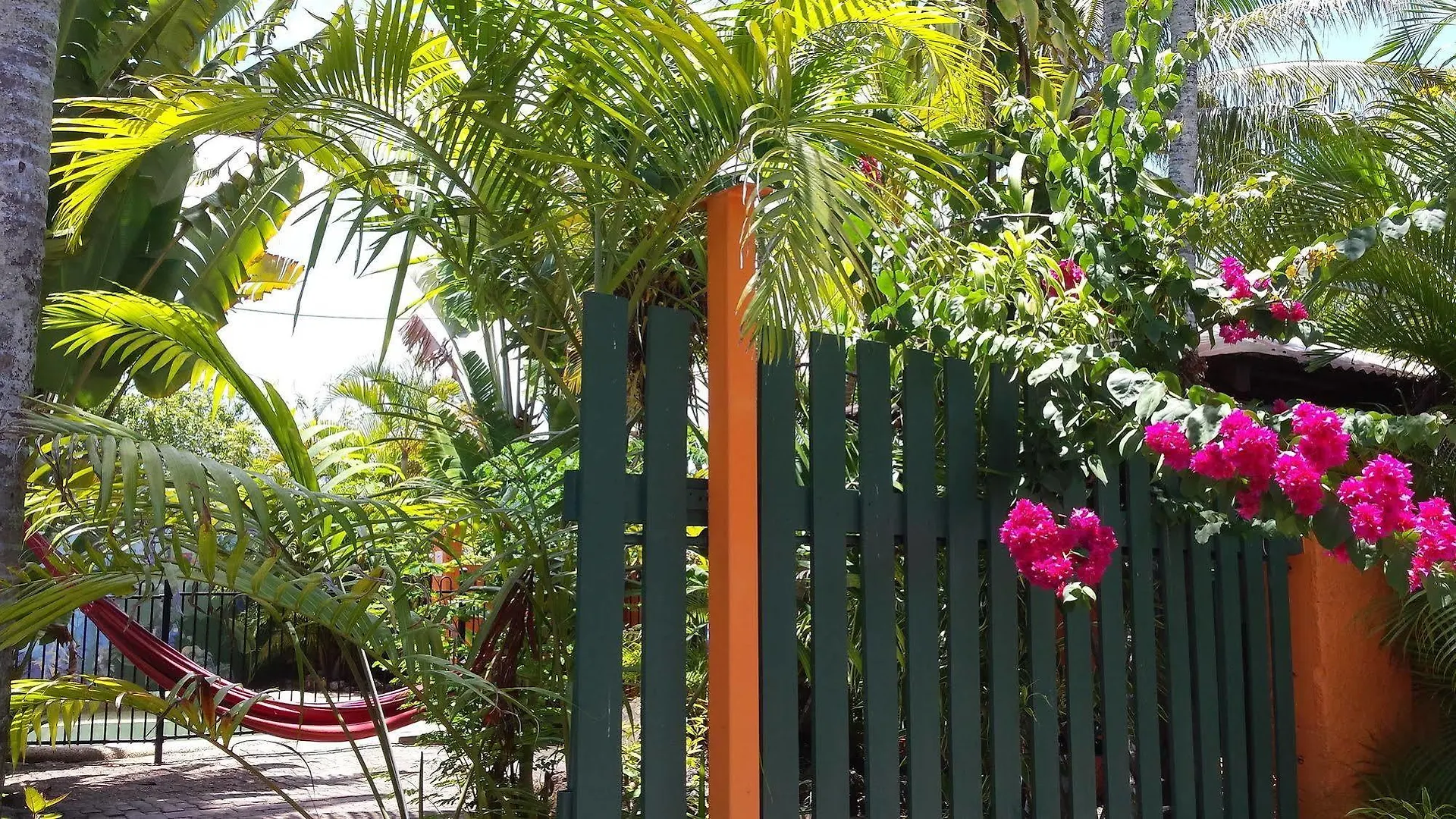 Jjs Backpackers Hostel Cairns