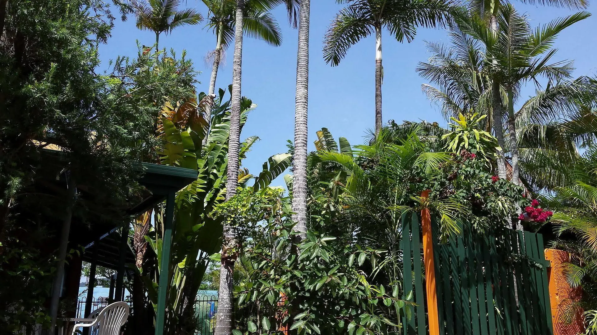 Jjs Backpackers Hostel Cairns Australia